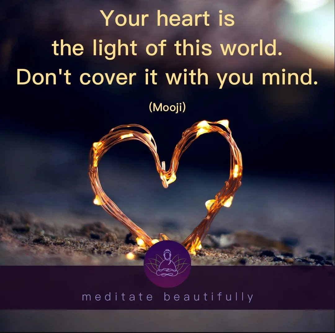 2damaxi's tweet photo. GM everyone π
Combine your heart and mind as one...
#NFTCommunity #mentalhealth #2daMax https://t.co/eJQ6OcL4R3