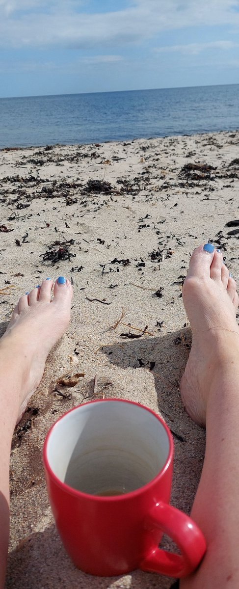 Steph Mackenzie tweet media