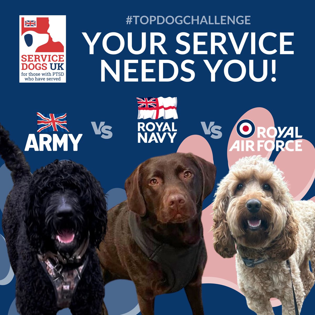 ServiceDogsUK's tweet photo. Itโs the last day of our #TopDogChallenge! ๐พ
Who will win? You decide!
Simply send us a donation via your chosen dog & service! ๐ฌ๐ง
๐ Monty https://t.co/XuLo3mPm80
๐ Daisy https://t.co/4lbBLcwMrk
๐ Freddy https://t.co/TNBsHGe1Sz
Weโll be announcing the winner tomorrow! https://t.co/RWZ56vZS1N