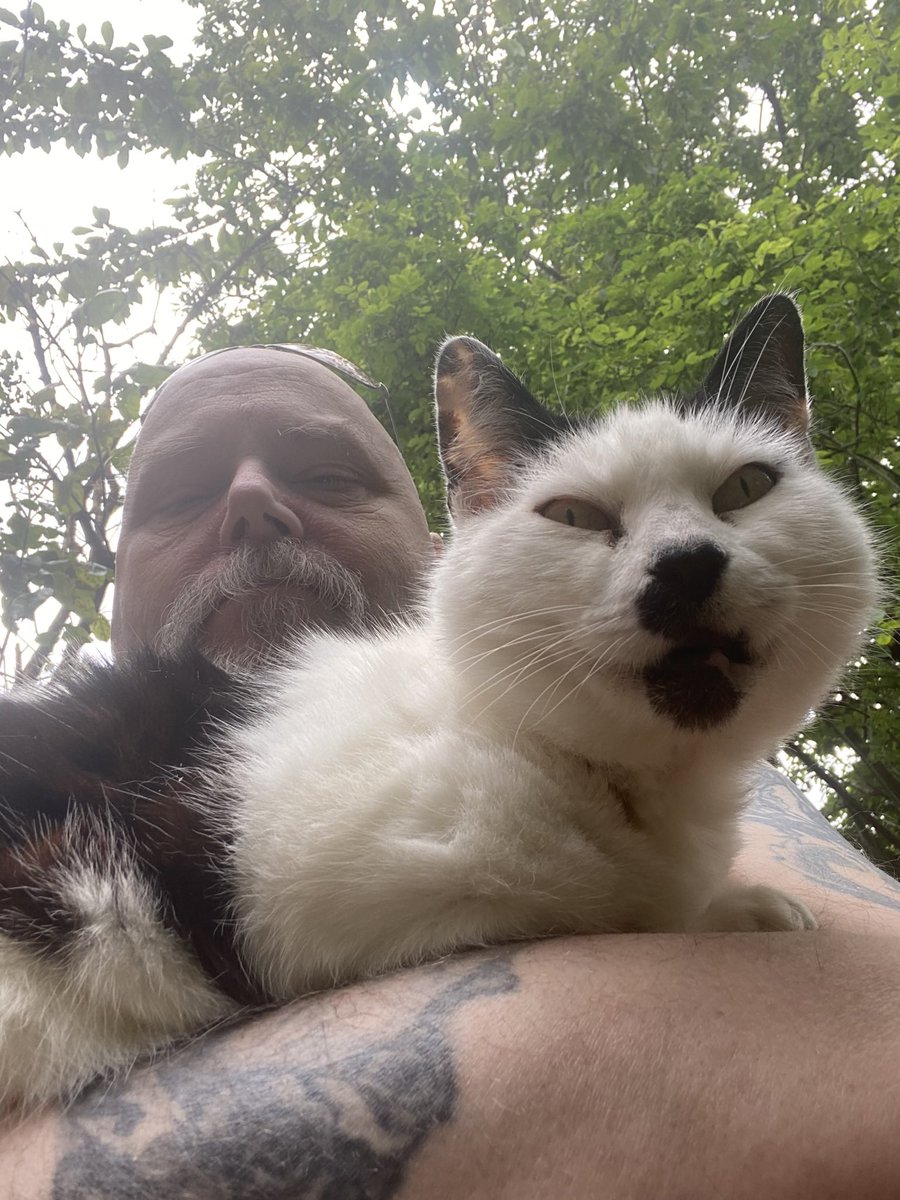 Safe travels over the rainbow bridge my little girl