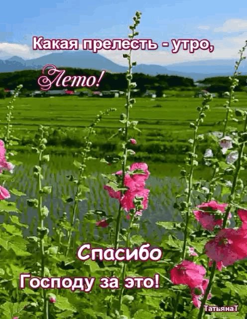 Алексей (@aasolomatin) on Twitter photo 