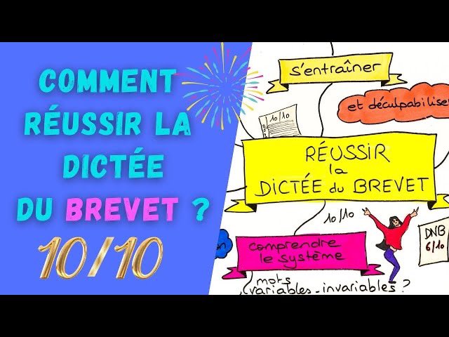 m_astrid_clair's tweet photo. Votre précieuse progéniture passe son brevet demain ? 💪
Pour l’aider à rebrasser en douceur toutes les notions à connaître en français et se préparer à la question sur les manipulations grammaticales, conseillez-lui la playlist Réussir le brevet : https://t.co/WQjoG9Glxg https://t.co/f2LJnJOlJk