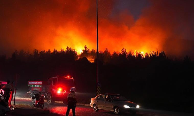 #ormanvatandır #kusadasıyangın 

İNSAN, bu dünyaya gelen en kötü canlısın. 

Canla başla çalışan herkese #OrmanKahramanları na sonsuz teşekkürler😔