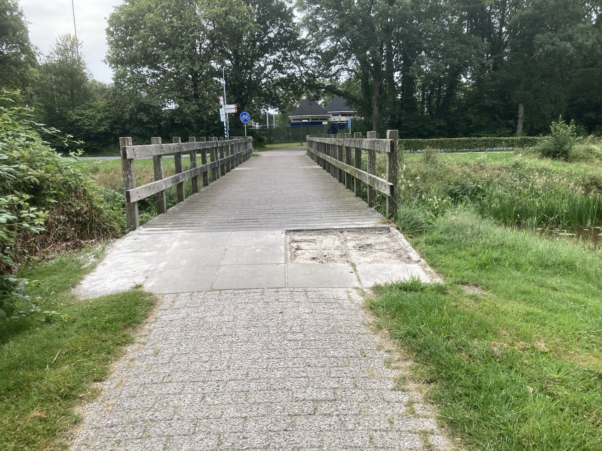 Harry Wollerich tweet media