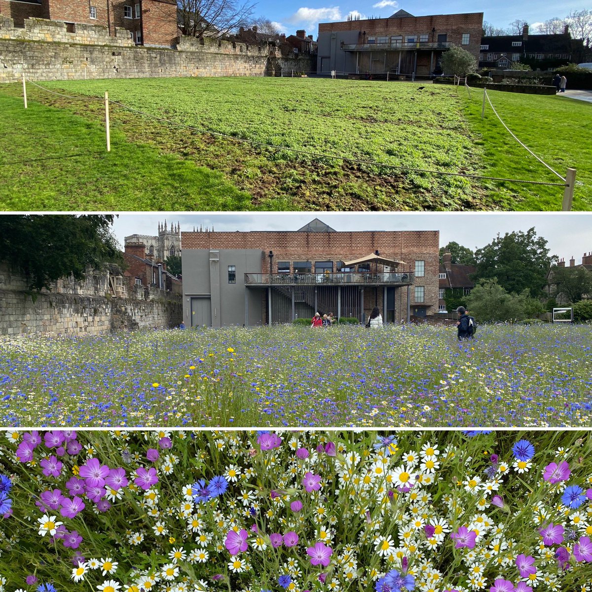 Friends of York Art Gallery tweet media