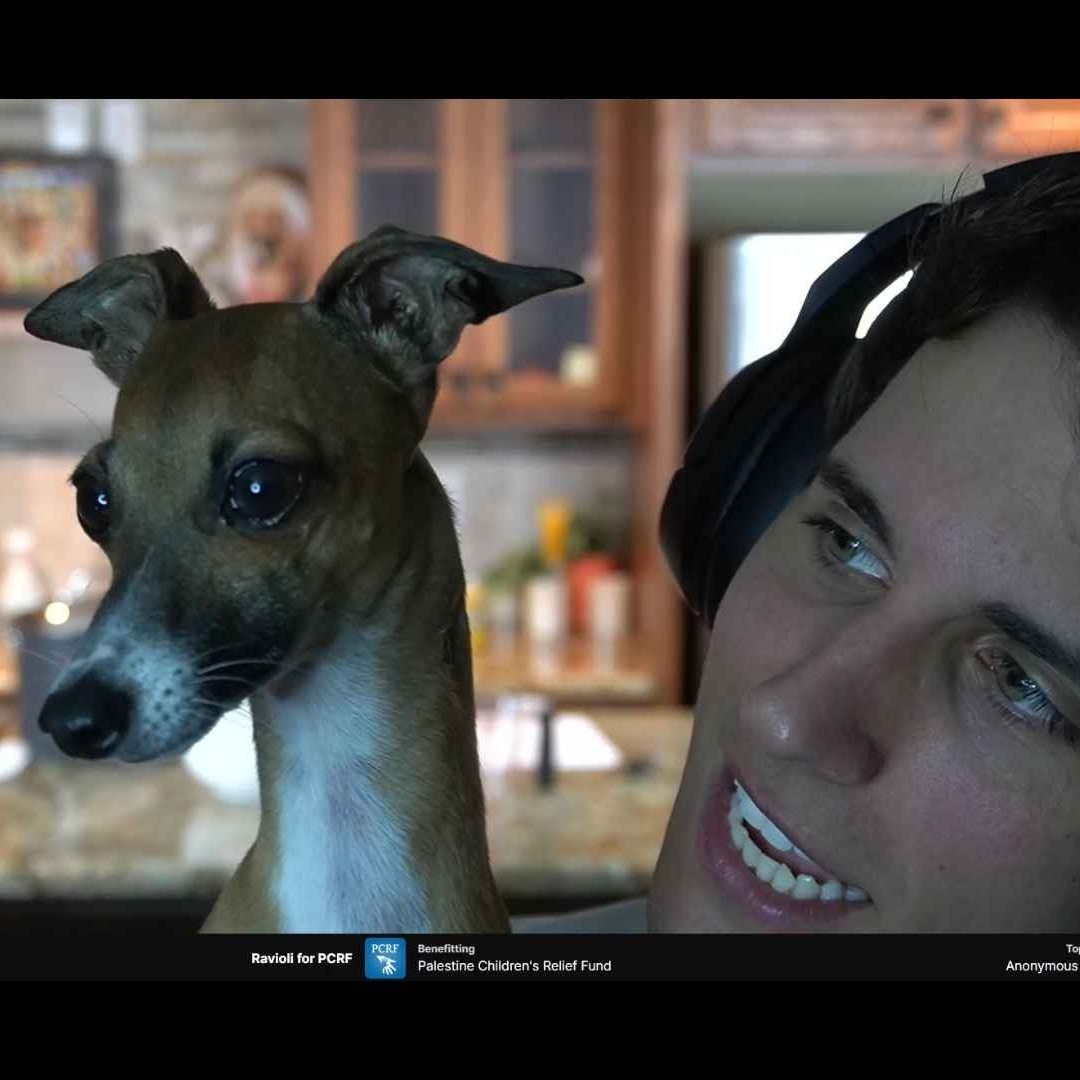 Loganolio tweet media