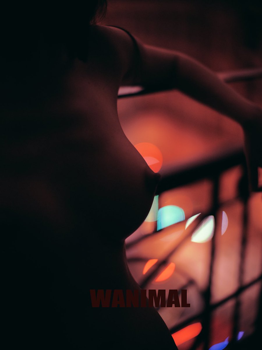 WANIMAL NEW COMER

@Kaisa0w0 https://t.co/xcnadESfeU