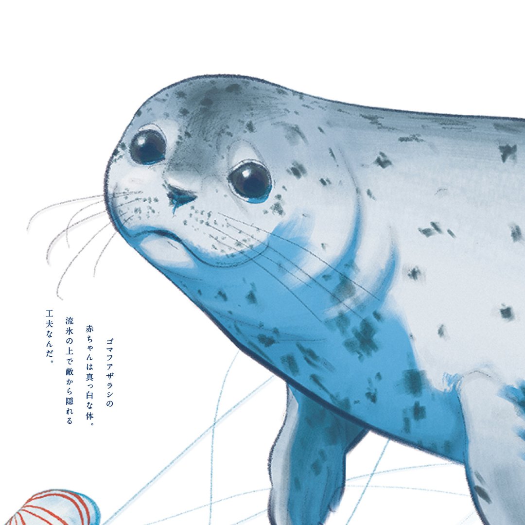 不安になってくるアザラシ 絵画 不安になってくるアザラシ 絵画 Amazon