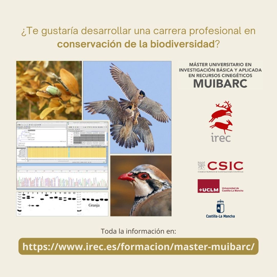 IREC_CSIC_UCLM's tweet photo. ¿Te gustaría trabajar en #genética de poblaciones y la conservación de la #biodiversidad? ⁉️ Si tu respuesta es sí, el #Máster Universitario en #Investigación Básica y Aplicada Recursos Cinegéticos (#MUIBARC) es lo que estás buscando ✅👉 https://t.co/cRf372mbYw https://t.co/ZMz9tHv17M