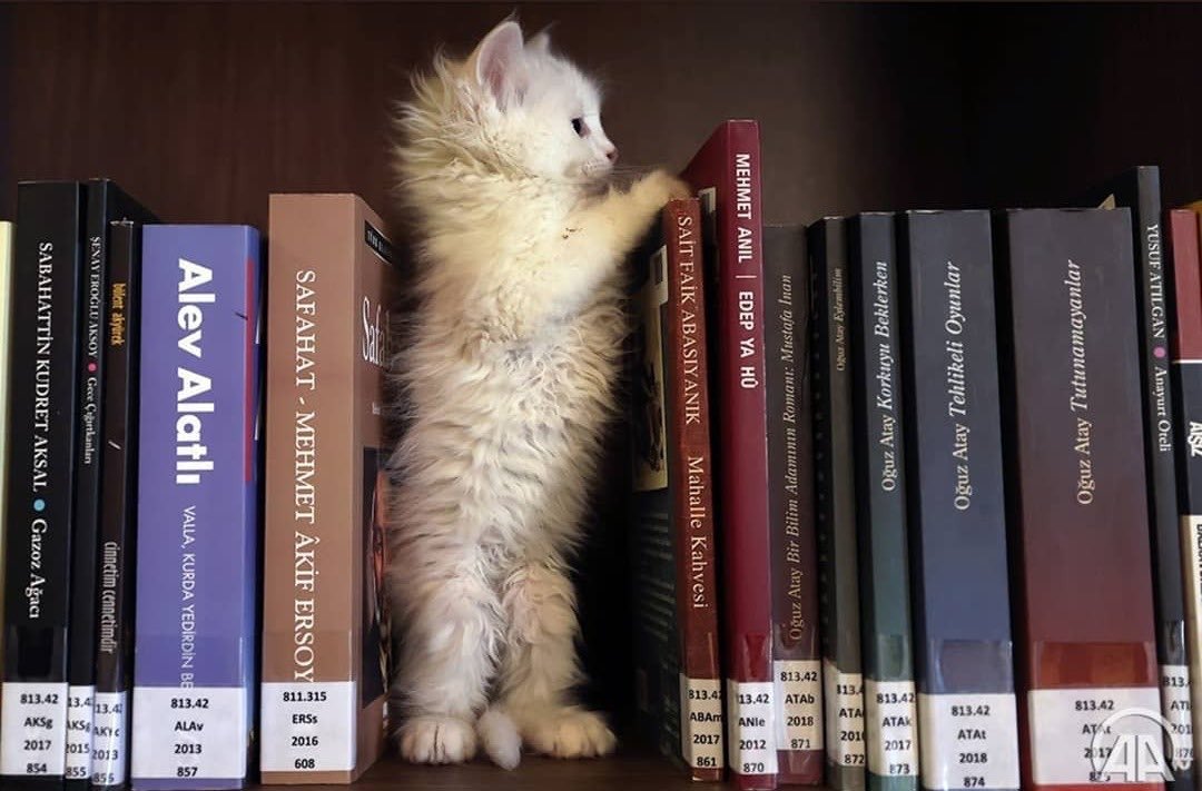 phootoo_'s tweet image. 