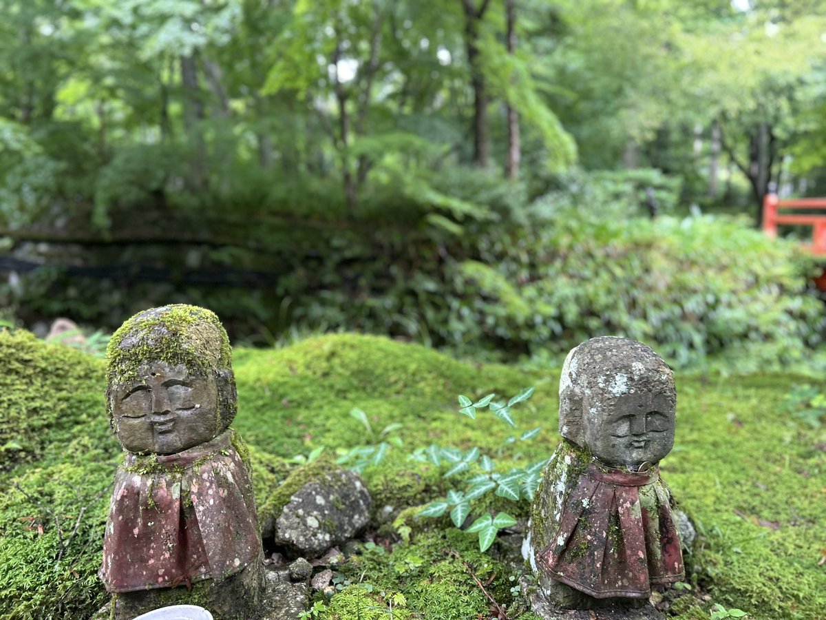 nemurino_mikata's tweet photo. 薬師如来の本尊である「大原三千院」さんへ行きました。

安らかなお地蔵様のお顔に癒されます。

開催中のあじさい祭りも、綺麗でした☺️ https://t.co/O9McsHEB86