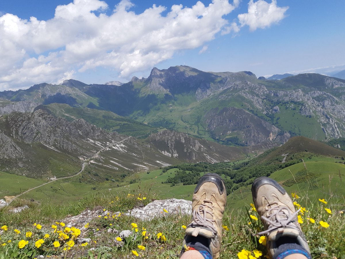 "Los momentos de felicidad que disfrutamos nos toman por sorpresa. No nos apropiamos de ellos, ellos se apropian de nosotros”. 

"La idea es morir joven lo más tarde posible."

 Ashley Montagu, antropólogo.