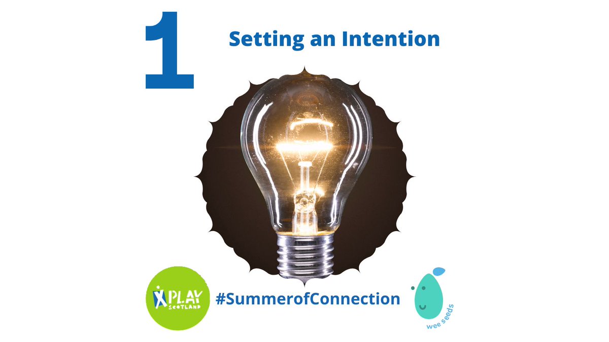 wee seeds tweet media