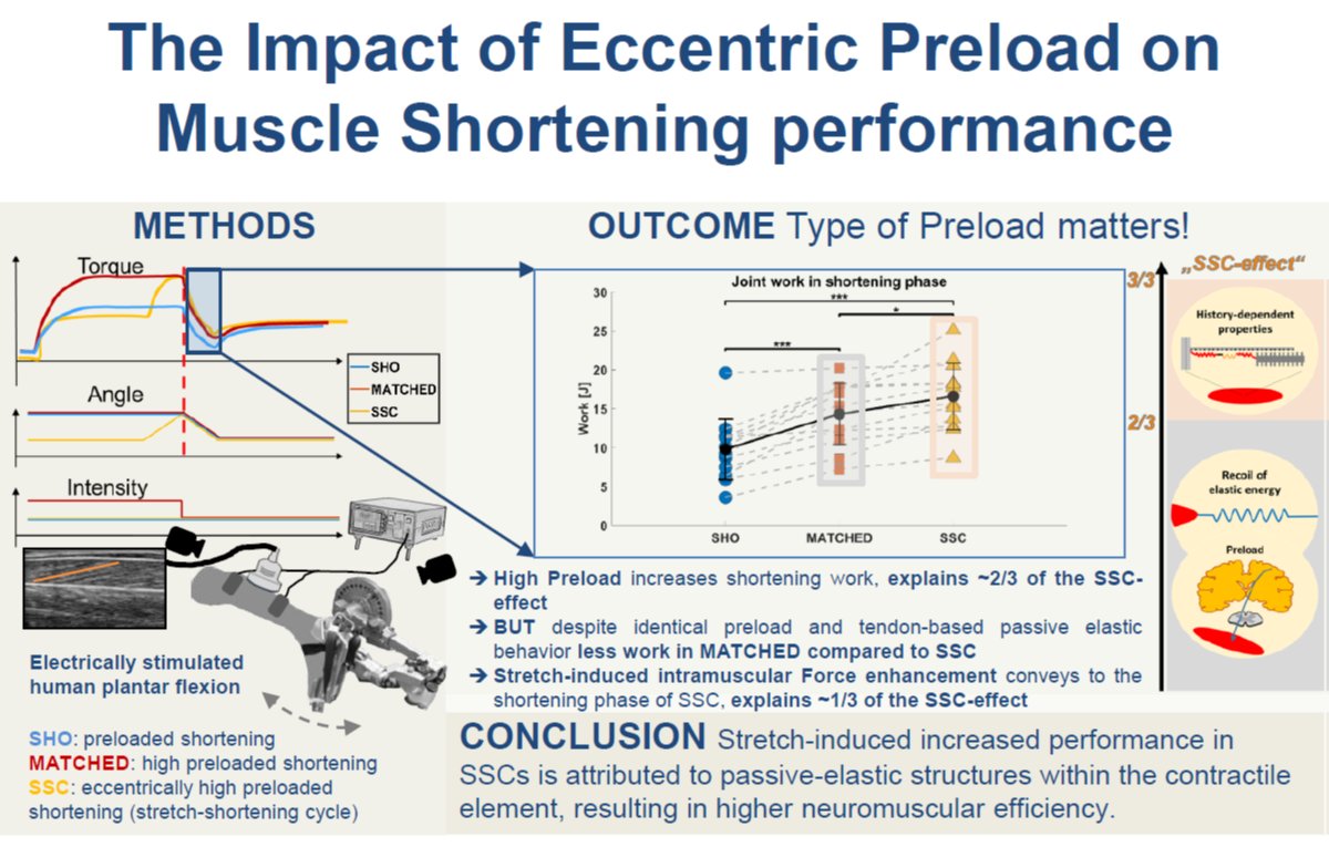 Daniel Hahn (@neuromechahnics) on Twitter photo 📢 Active muscle stretch matters!
Eccentric contractions trigger history-dependent muscle properties that make up one third of the increased performance during SSCs. Find all details in our new paper <a href="/japplphysiol/">Journal of Applied Physiology</a>. Funded by <a href="/dfg_public/">DFG public | @dfg_public@wisskomm.social</a>.
<a href="/WolfgangSeiberl/">Wolfgang Seiberl</a>
doi.org/10.1152/japplp… 📢 Active muscle stretch matters!
Eccentric contractions trigger history-dependent muscle properties that make up one third of the increased performance during SSCs. Find all details in our new paper <a href="/japplphysiol/">Journal of Applied Physiology</a>. Funded by <a href="/dfg_public/">DFG public | @dfg_public@wisskomm.social</a>.
<a href="/WolfgangSeiberl/">Wolfgang Seiberl</a>
doi.org/10.1152/japplp…