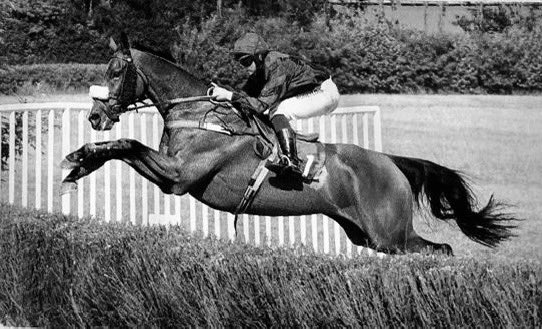 Alice Procter tweet media