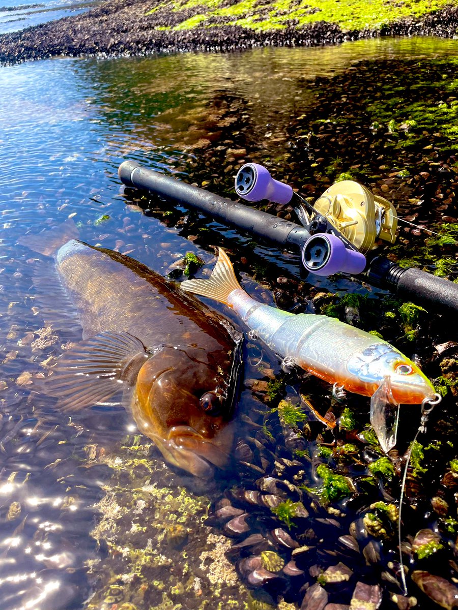 MiuAngler's tweet photo. 上半期最後はどうしても
このルアーで締めくくりたかった…
フィールドと魚達には感謝しか無い…
#deps
#SIDEWINDER
#TheDOMDRIVERSPECIALEDITION
#NEWHIGHSIDER220
#aurorachartback https://t.co/LCybluUl85
