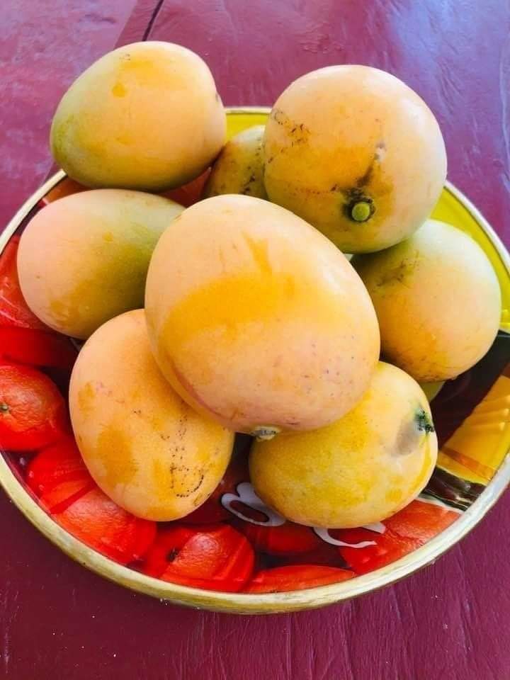 ○° آراءخان°○ tweet media