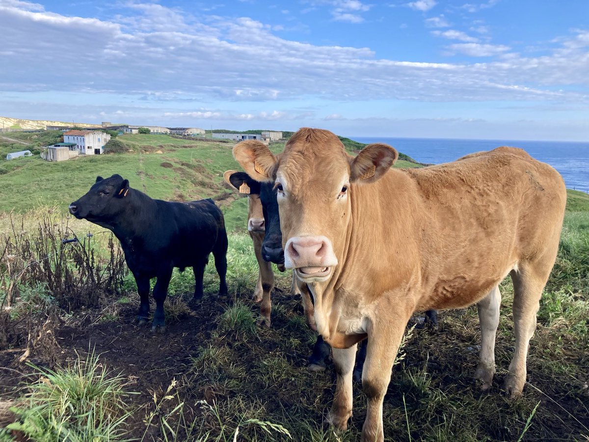 Saludos desde Cantabria!