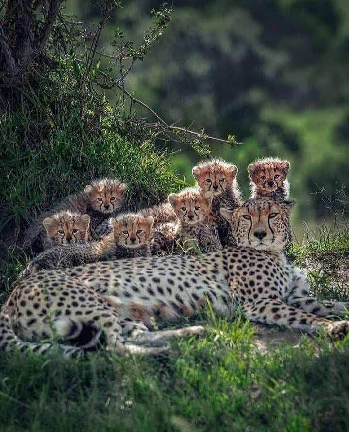 Carl. (@carl_ce50) on Twitter photo 