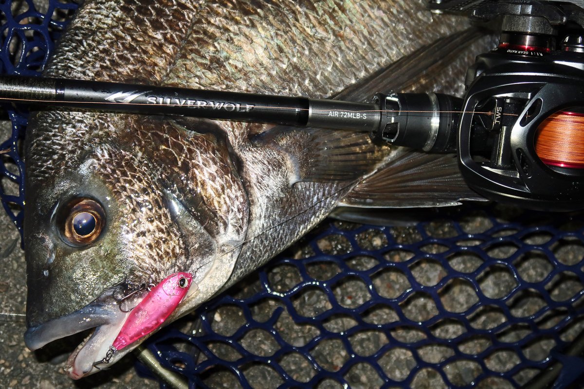 MORIZOO♪ もりぞー on X