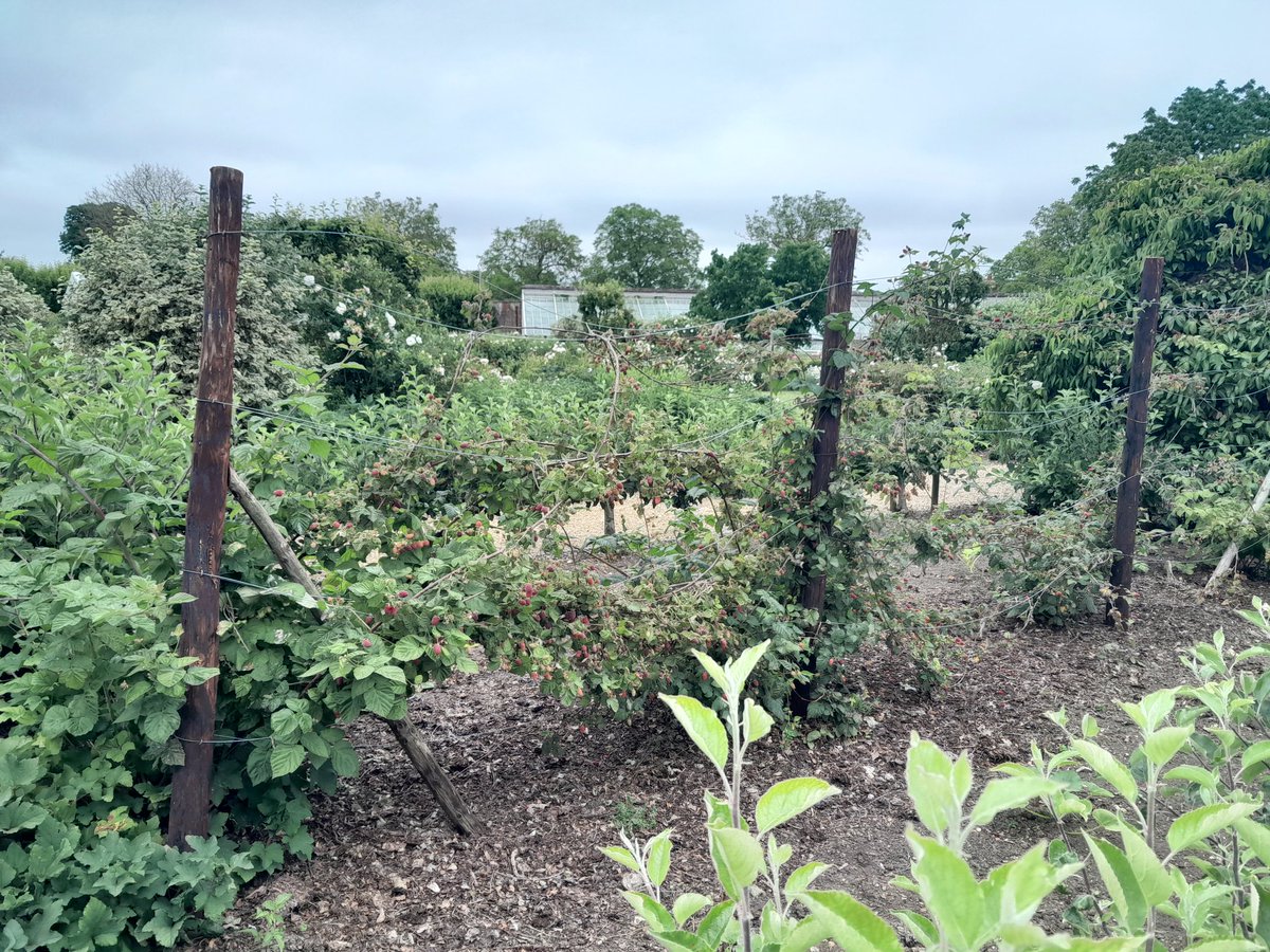 <a href="/rockola1958/">Graeme Watts</a>  Looking lovely Greame, had a lovely Sunday morning visit,and lunch in the Stables.
Always something new to see everytime we visit. We'll done mate.
Best wishes Paul and Pauline.