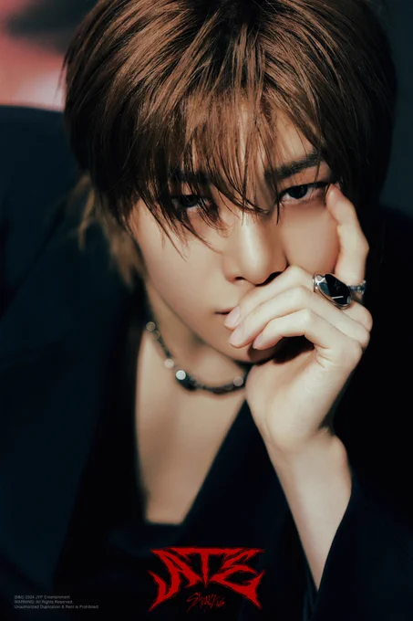 Stray Kids Japan Official on X: 
