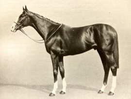 HORSERACING1002's tweet photo. FLYON🇬🇧1935
(FLAMINGO - ACQUIT BY HURRY ON)#Flyon
B/Sir Laurence Phillips 🇬🇧1935
O/ 1st Baron Milford
T/ Jack Jarvis
16-7-2-3---£12,165
Ascot Gold Cup, Newmarket St Leger,
2nd Ormonde S,
Stood 🇬🇧🇮🇪Sired Loop the Loops, Ivy Green, Flutter By, Fight On,
Died Apr 8, 1950 https://t.co/3E5W4Mkgms
