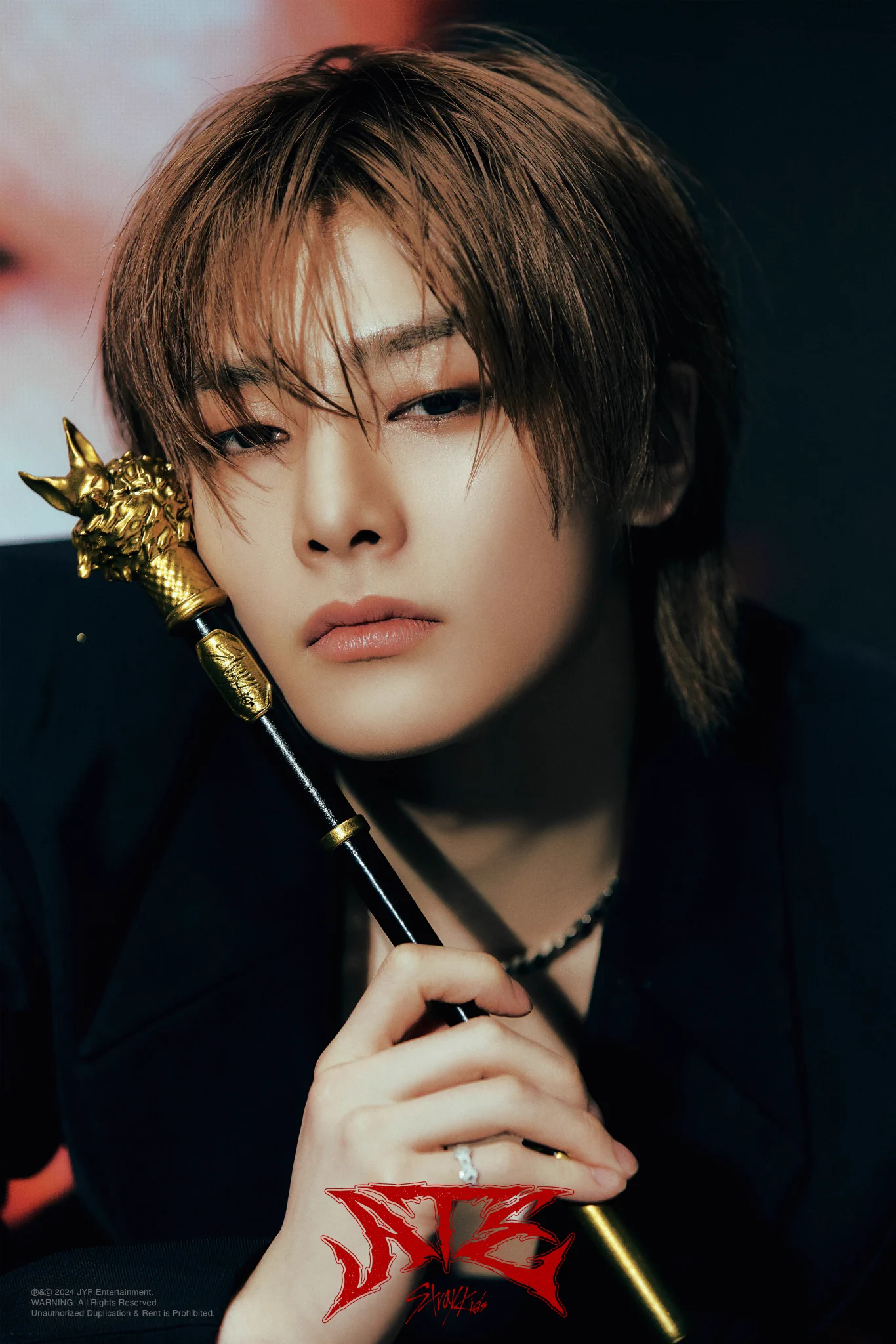 Stray Kids Japan Official on X: 
