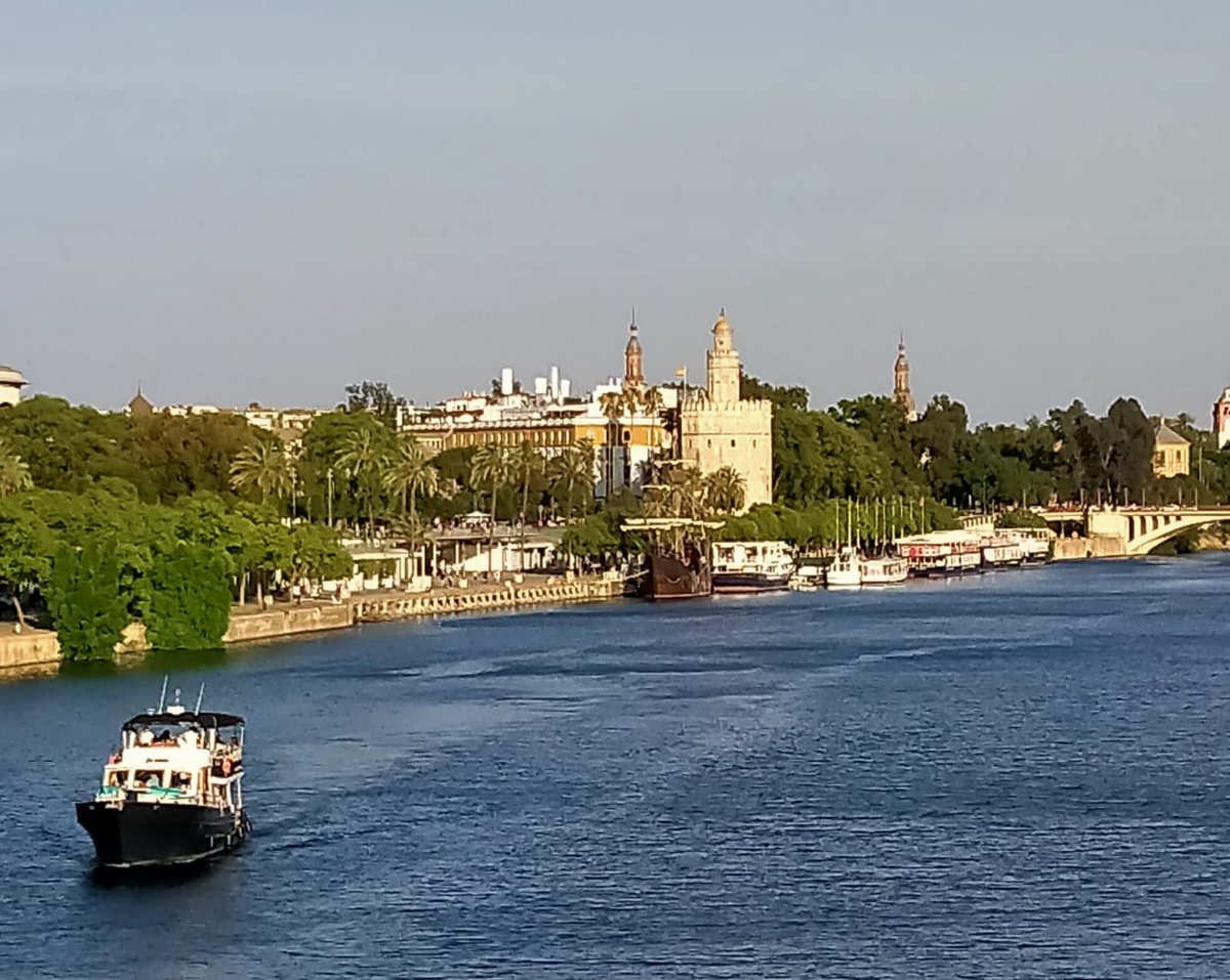 XV CONGRESO ESPAÑOL DE SOCIOLOGÍA

El ESOMI se ha desplazado a Sevilla,  dónde ha participado en hasta 16 sesiones de diferentes grupos de trabajo. 

Gracias a <a href="/FES_Sociologia/">FES Sociología</a> , Departamento de Sociología <a href="/pablodeolavide/">Pablo de Olavide</a>, <a href="/AAS_Sociologia/">Asociación Andaluza de Sociología (AAS)</a> 

#CongresoFES2024  
#esomi