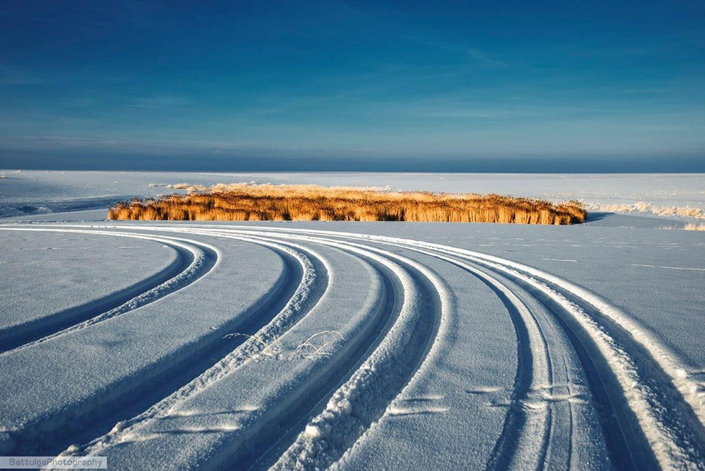 Амьдралын зураг (@2o_sep) on Twitter photo 