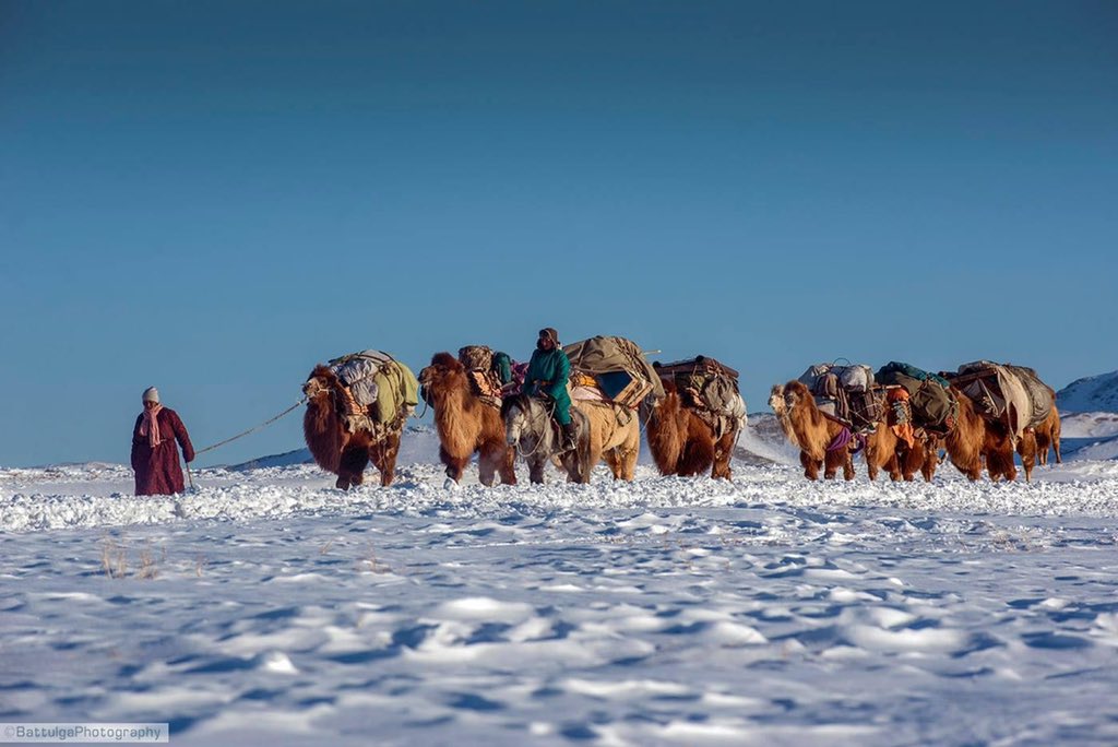 Амьдралын зураг (@2o_sep) on Twitter photo 