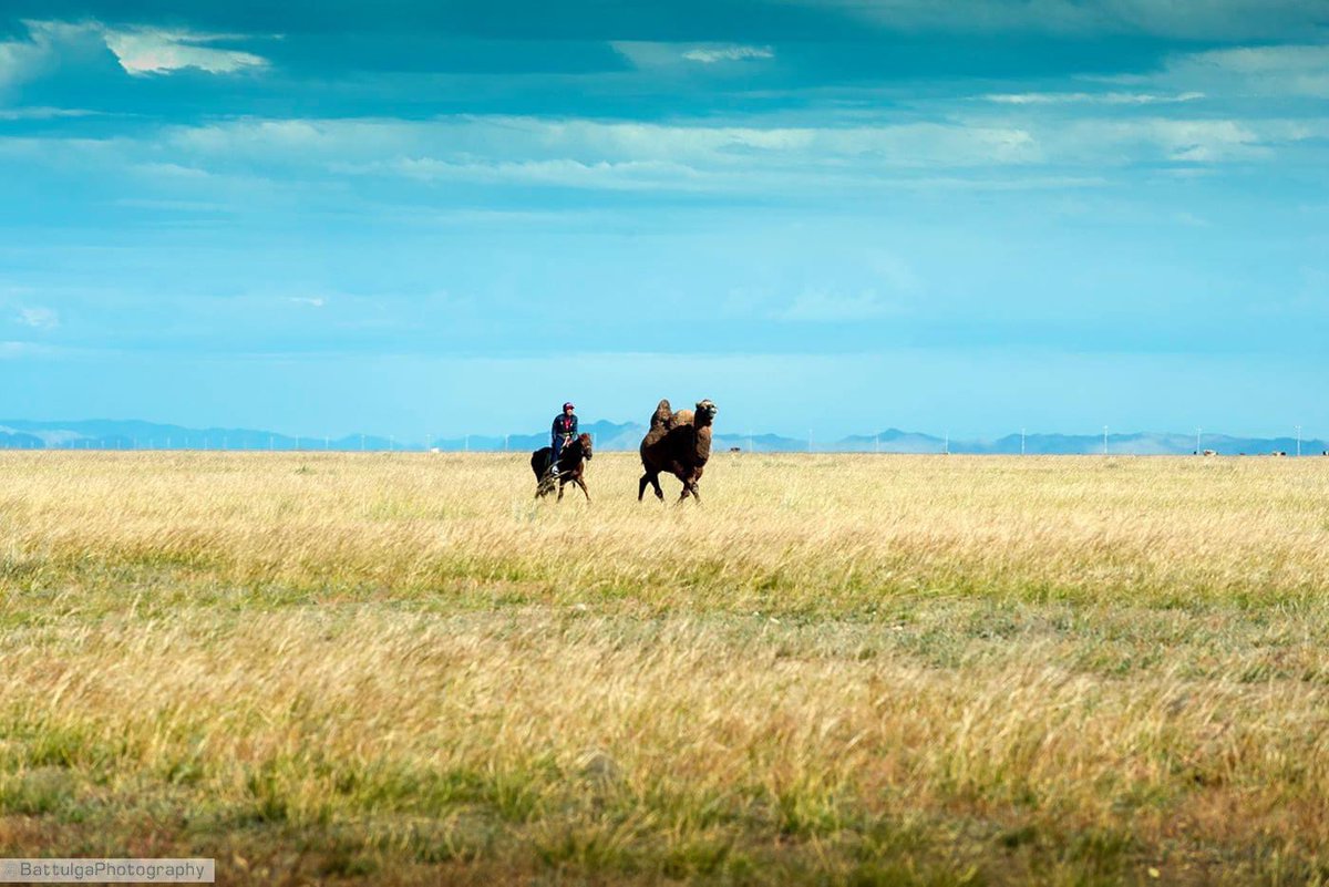 Амьдралын зураг (@2o_sep) on Twitter photo 