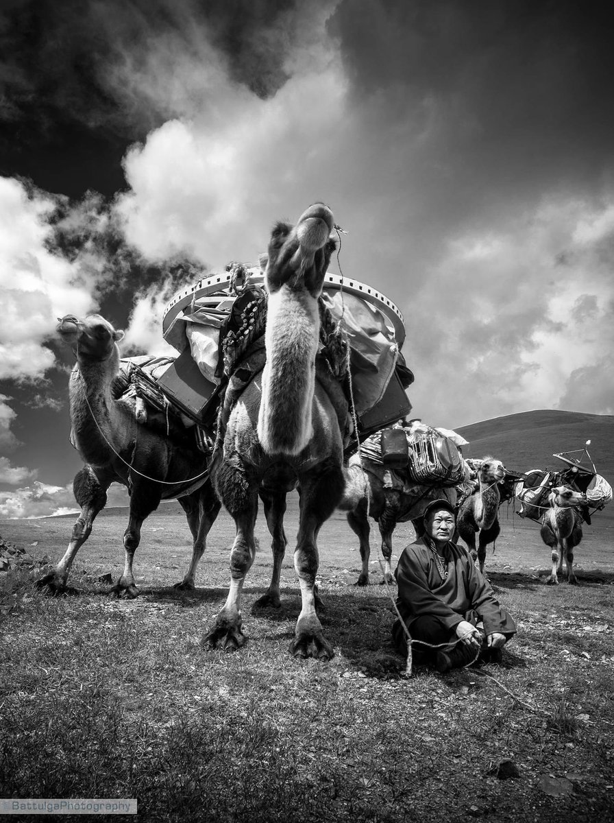 Амьдралын зураг (@2o_sep) on Twitter photo 