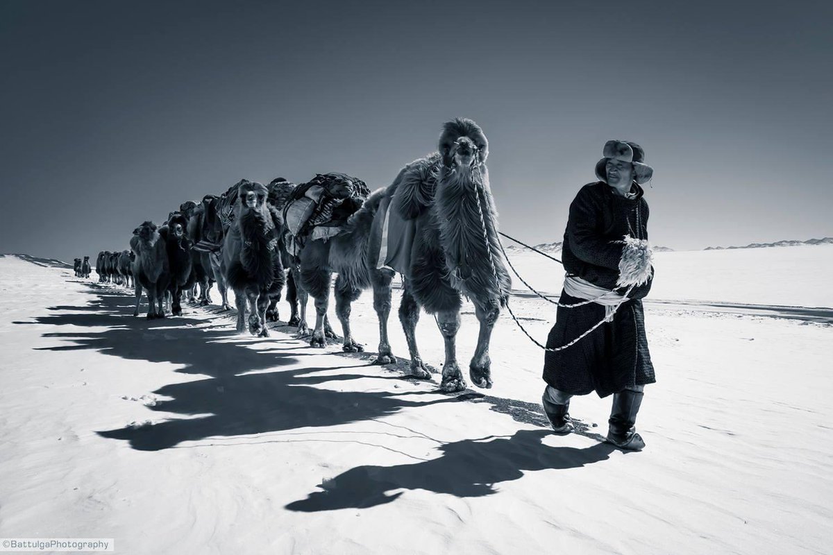 Амьдралын зураг (@2o_sep) on Twitter photo 