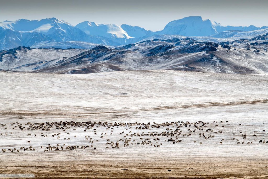 Амьдралын зураг (@2o_sep) on Twitter photo 