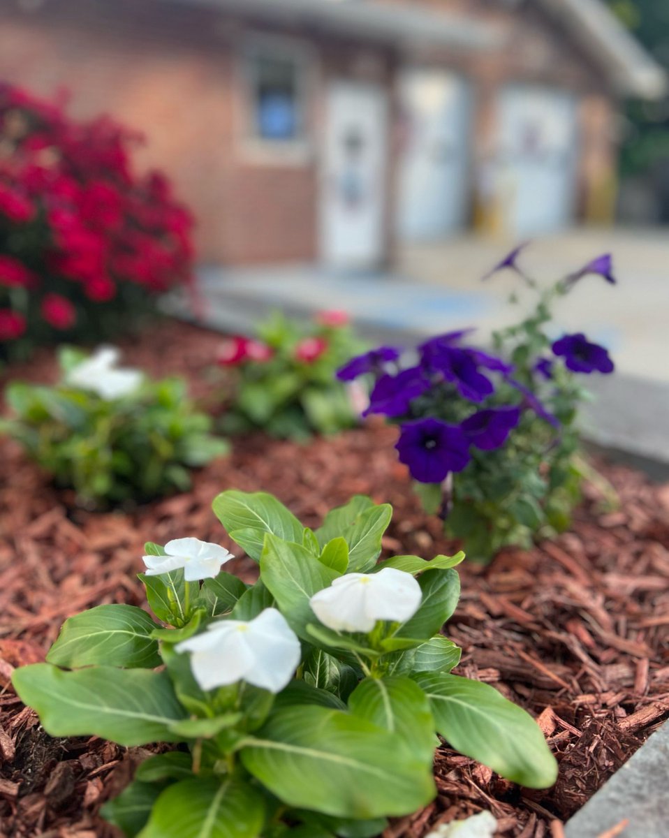 PeekskillVAC's tweet image. Peekskill Community Volunteer Ambulance Corps would like to thank Cortlandt Farm Market for donating flowers for our flowerbeds! Thanks for supporting our Ambulance Corps!
Cortlandt Farm Market (2267 Crompond Road, Cortland Manor, 10567)
