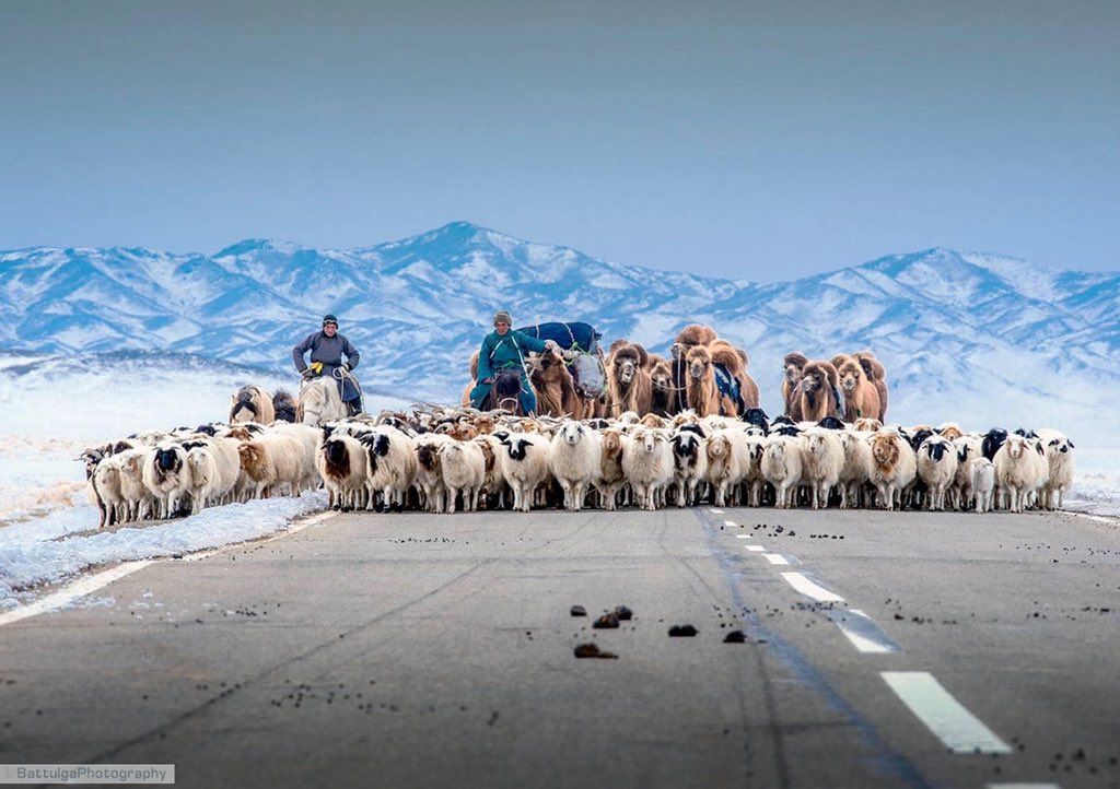 Амьдралын зураг (@2o_sep) on Twitter photo 