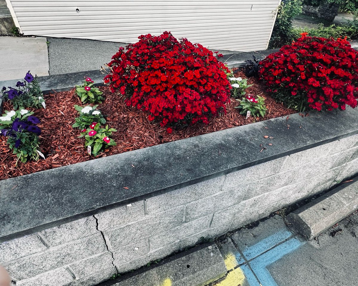 PeekskillVAC's tweet image. Peekskill Community Volunteer Ambulance Corps would like to thank Cortlandt Farm Market for donating flowers for our flowerbeds! Thanks for supporting our Ambulance Corps!
Cortlandt Farm Market (2267 Crompond Road, Cortland Manor, 10567)