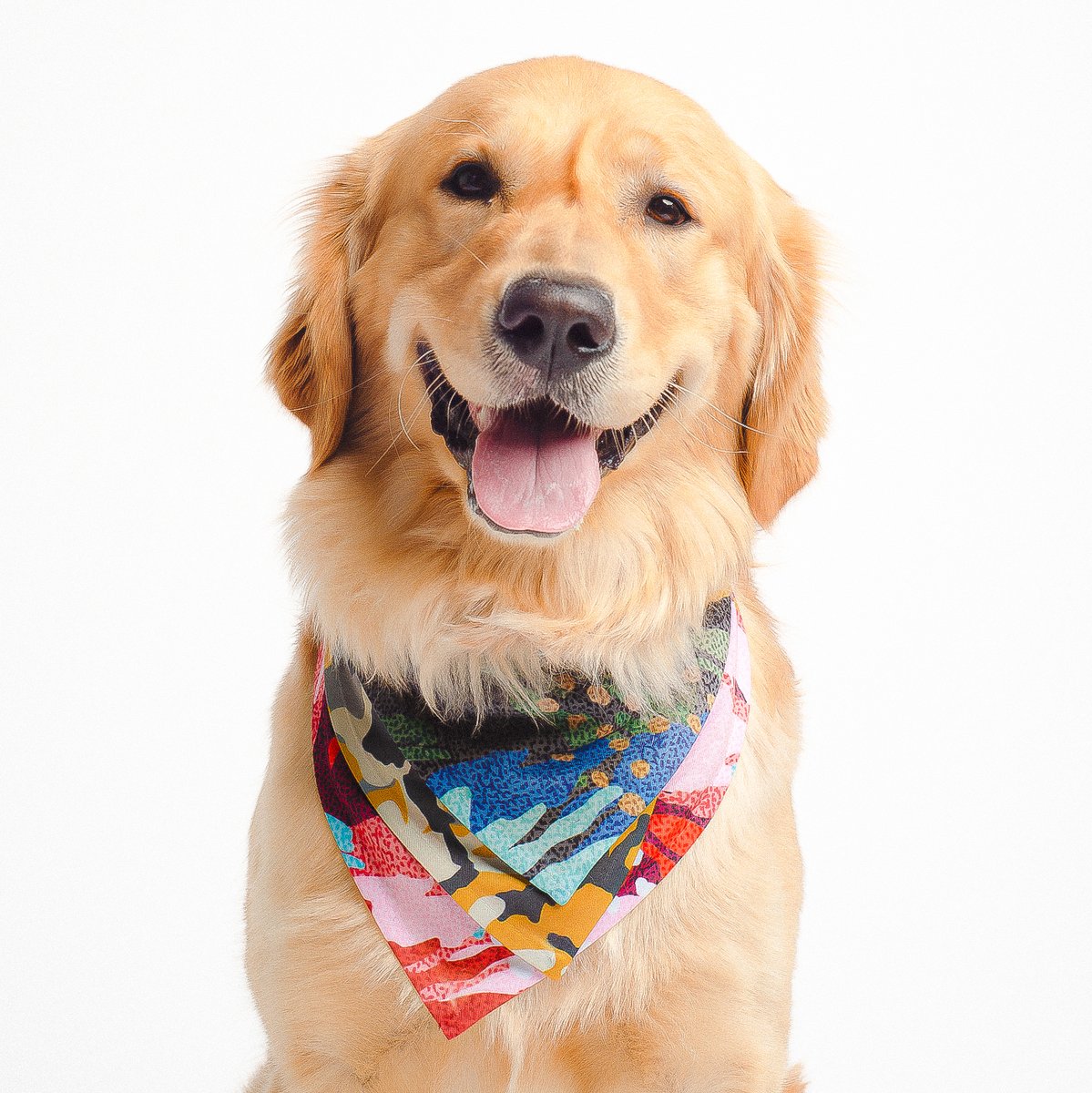 Who’s a good dog? This guy swagged out in a custom-printed Dog Bandana by Vapor Apparel. Our Triangle Bandana comes in white, can be customized with a Spot Hit or AOP, and is available in 5 sizes. Great for giveaways, company swag, or your next tradeshow. Tail wags guaranteed.