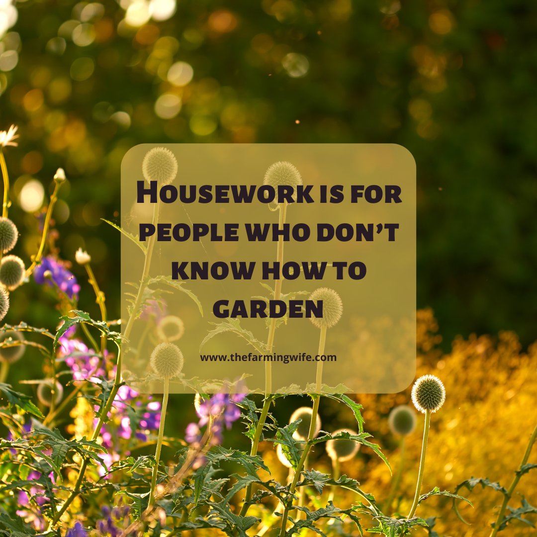 Happy Sunday Morning! It's rainy and warm here, just right for making a fancy dessert to brighten the day. I'm thinking Pie...