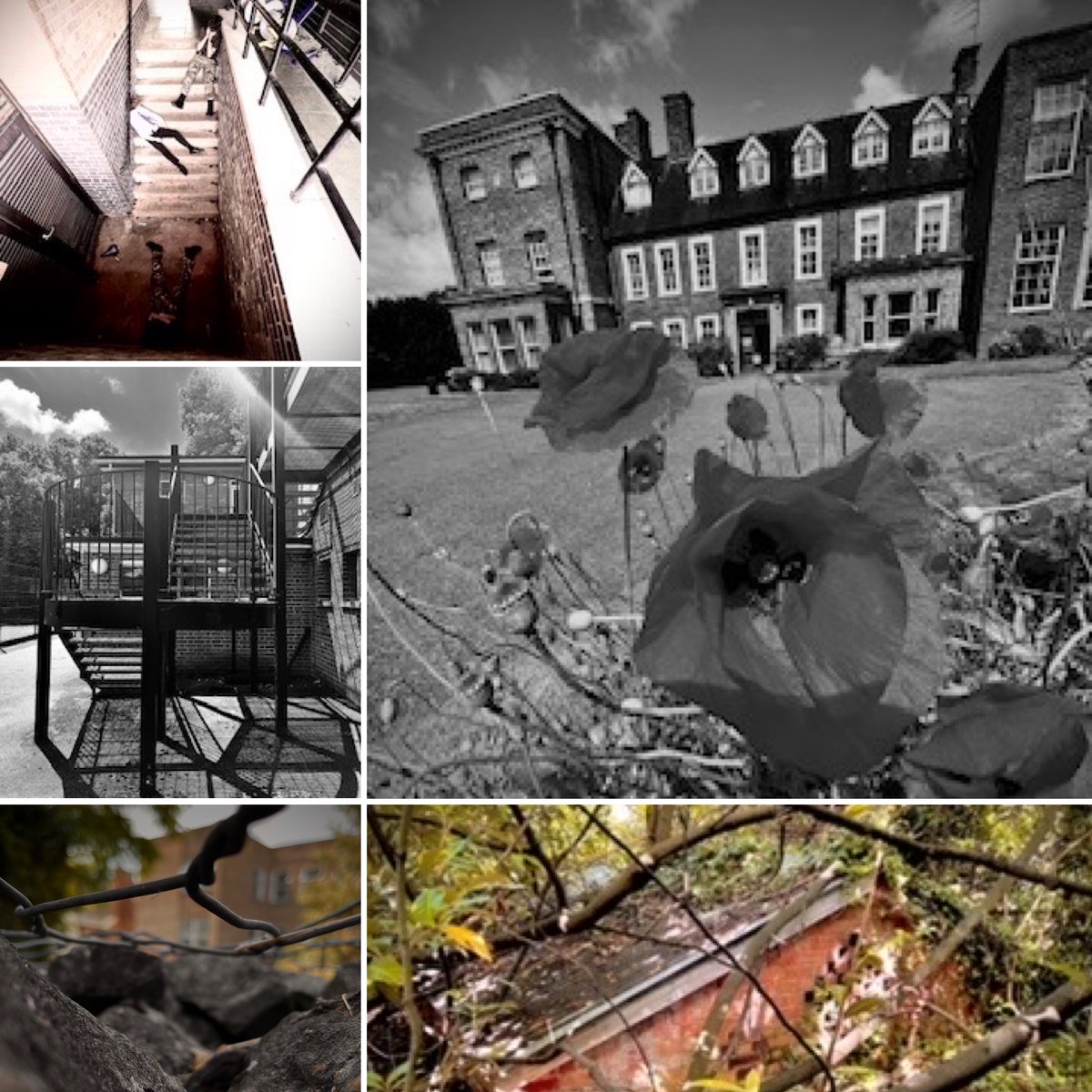 St Edward's Senior & Sixth Form tweet media