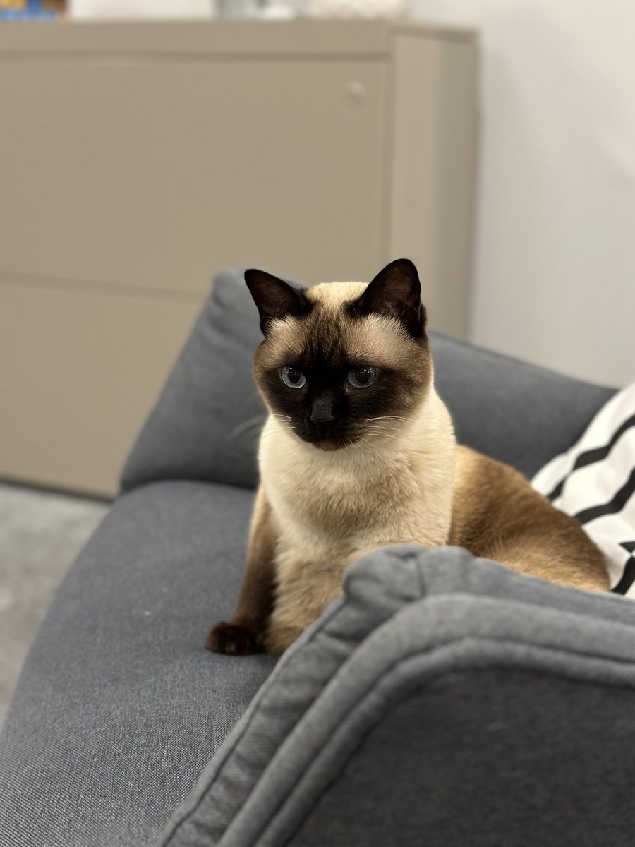 Olivier Beg tweet media