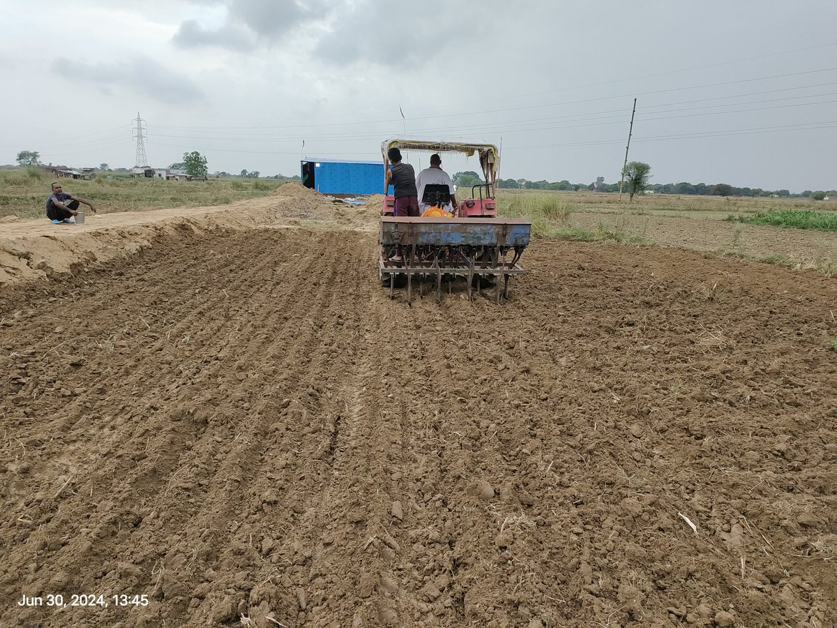 DSingh1989's tweet photo. Empowering Farmers: The Benefits of Direct Seeded Rice for Sustainable Agriculture. https://t.co/RR49ntwovg