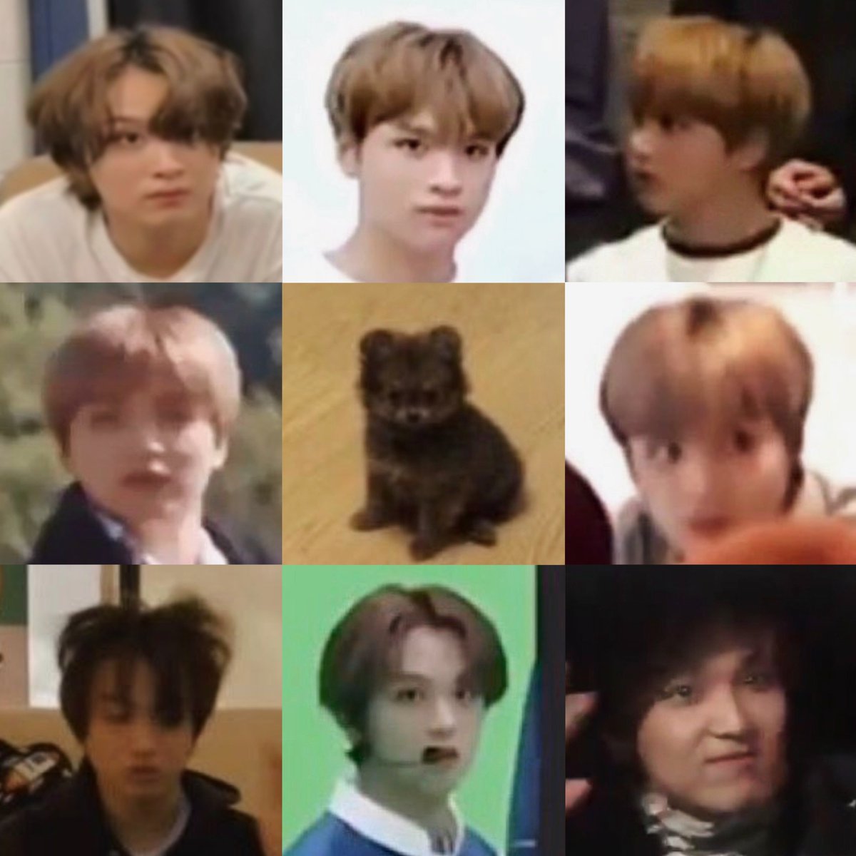 ૮ • ̀ ﻌ •́ ა