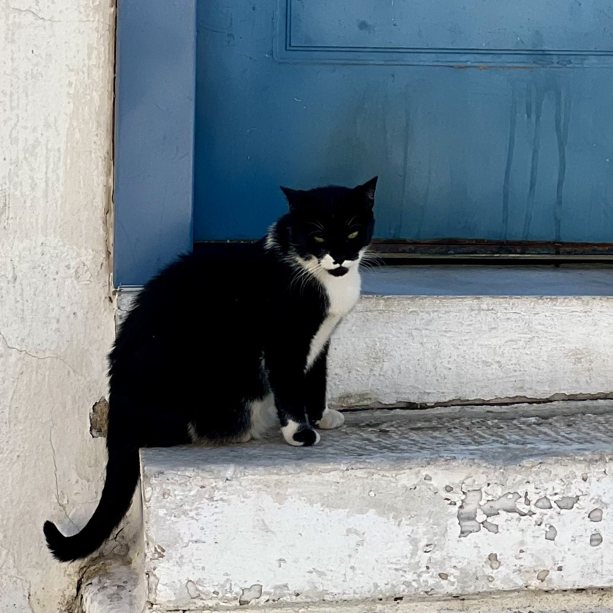 Jeff Bradshaw 🌾🐞 tweet media