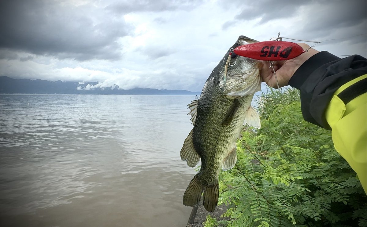 もうダメかと思った、、諦めず2日目に出たやる気MAXバス🤩🔥激渋の