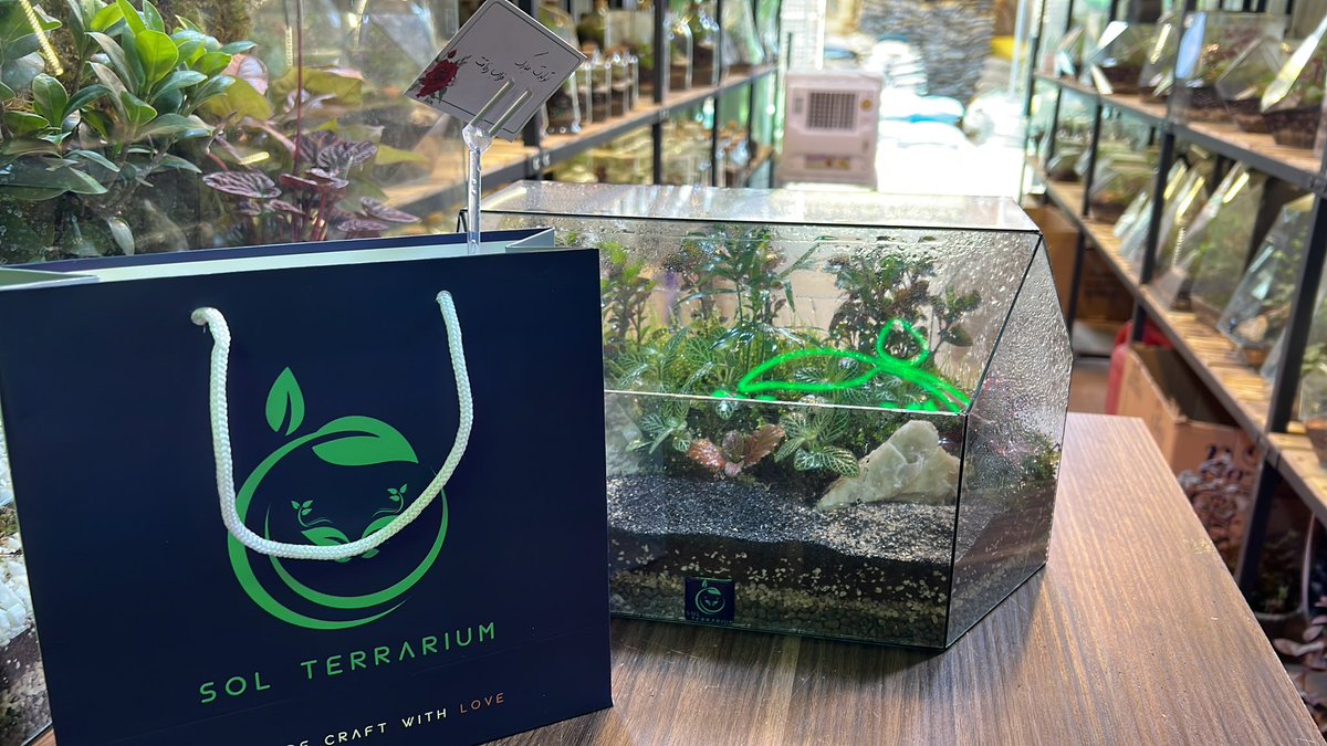 Sol_Terrarium tweet picture