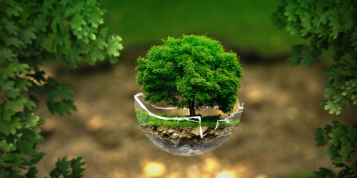 ursachewirkung's tweet photo. 🌍 Das Ecosattva-Zentrum: Wo Achtsamkeit und ökologisches Engagement zusammenkommen. Wie können wir eine gerechte und nachhaltige Zukunft gestalten? 💬 #Ecosattva #Buddhismus #Nachhaltigkeit #Achtsamkeit
von: https://t.co/CpxBPeMSA9 https://t.co/LapNgu98oH