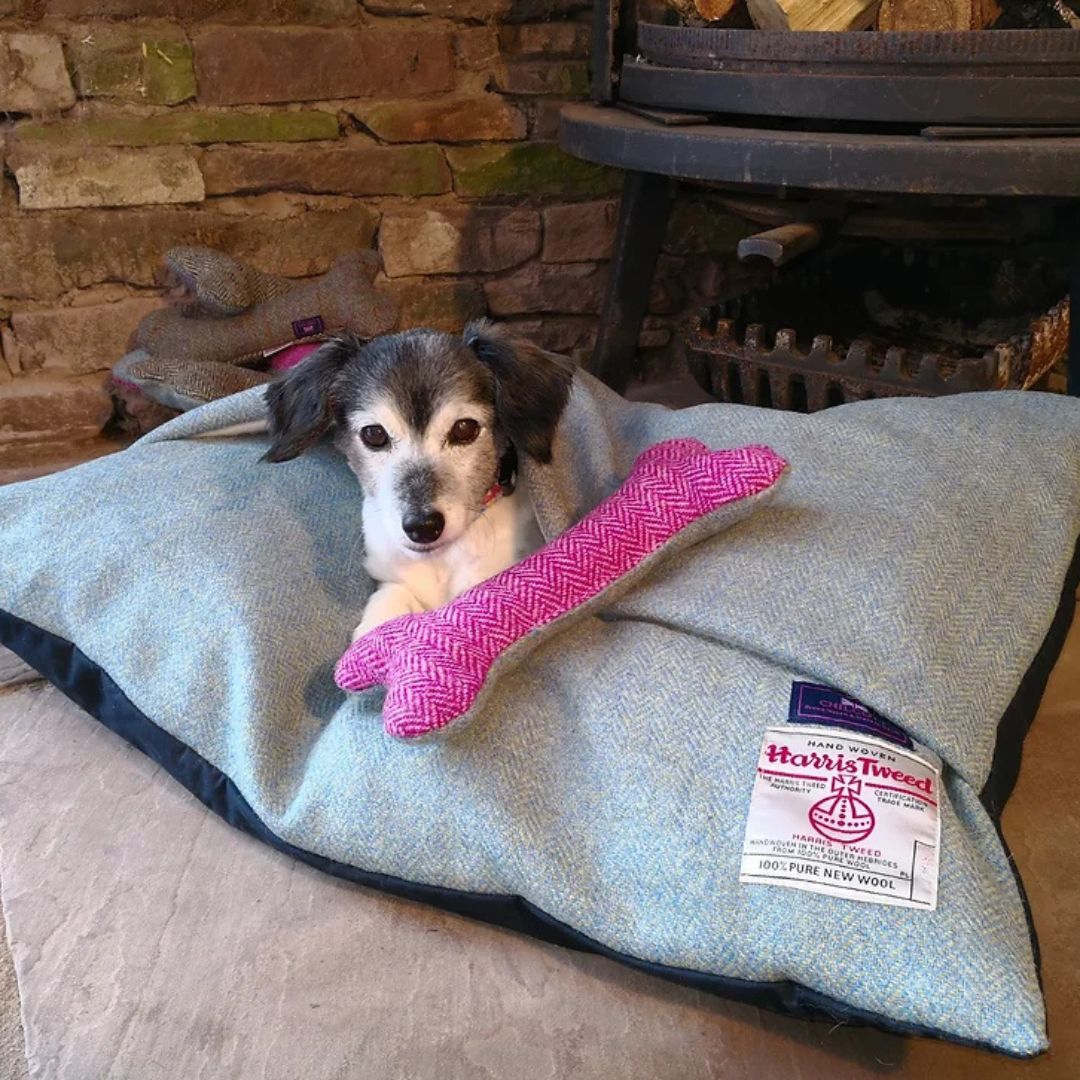 chilcottuk's tweet photo. It's moments like these that remind us of life's simple joys.

Watching our furry friends unwind and find comfort in our luxurious dog tunnel brings us pure happiness. 🐾💤

#ChilcottUK #LuxuryLiving #BritishCraftmanship #DogCollection #DogCravat #ChilcottDogCollection https://t.co/r2WjnuuWpU