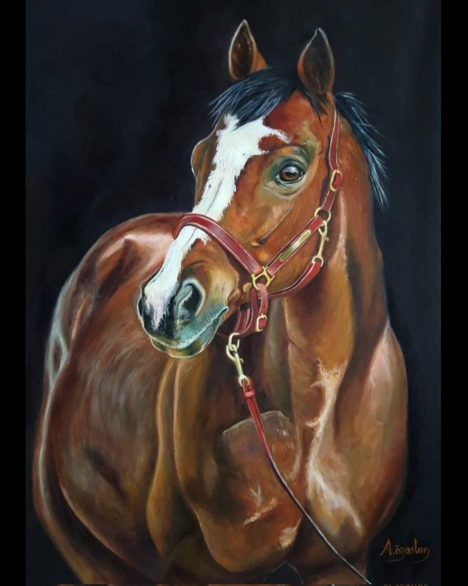 98. Gazi Koşusunda koşacak tüm safkanlarımıza ve jokeylerimize başarılar diliyorum. 🏆🏇
80x55 cm.
Tuval üzeri yağlıboya
#sanat #ankara  #art #horse #oilpainting  #contemporary #contemporaryart #GaziKoşusu #gündem #kültürsanat #turkiyejokeyklubü #womensart